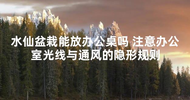 水仙盆栽能放办公桌吗 注意办公室光线与通风的隐形规则